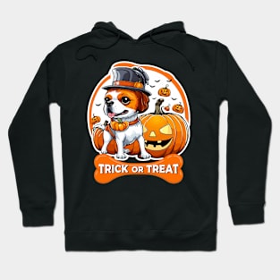 Halloween Dog Hoodie